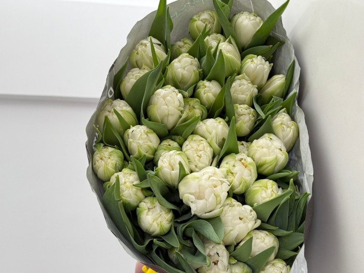 Floral Arrangement White peony tulips