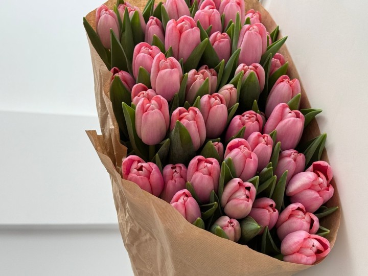 Tulips Velvet Pink