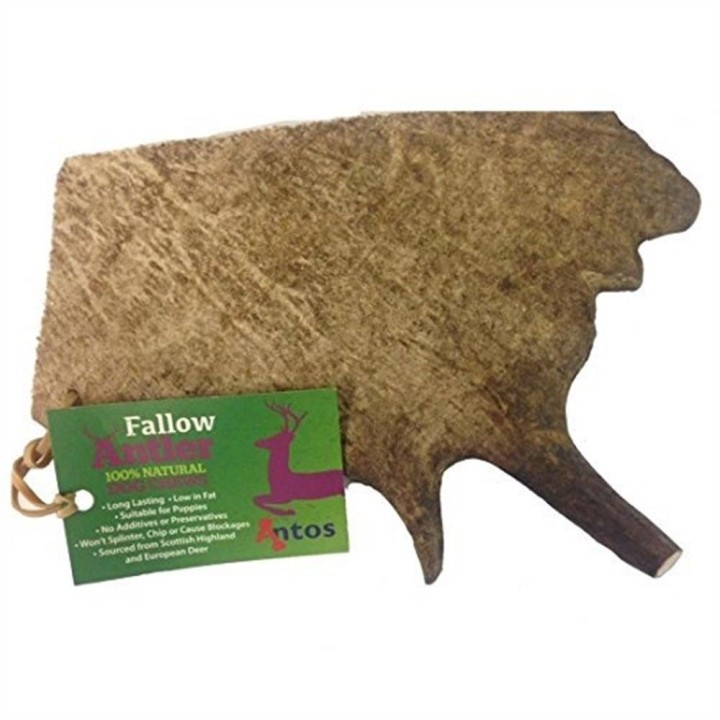 Fallow Antler Large - 200gr