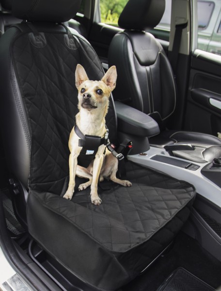 Car Seat Protection