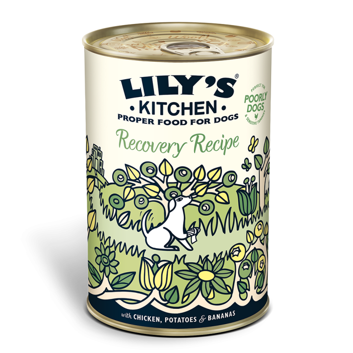 Lily's Kitchen Recovery Recipe - 400gr