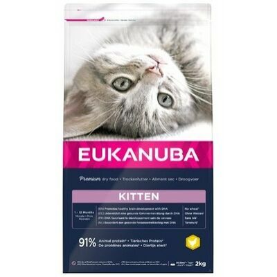 Eukanuba Cat Kitten Healthy Start Chicken - 2 Kg