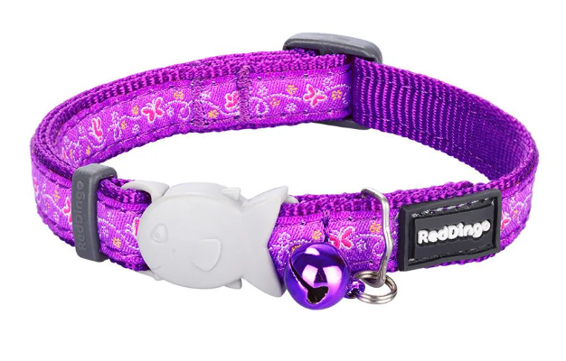 Red Dingo Butterfly Purple Cat Collar - Xs