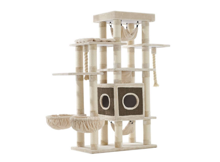 Nobby Cat-Scratcher Gadi
