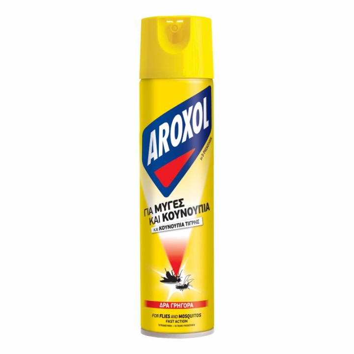 Aroxol Για Μυγες Και Κατσαριδες 300Ml