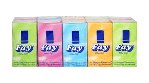 Fay Pocket Tissues 10X10