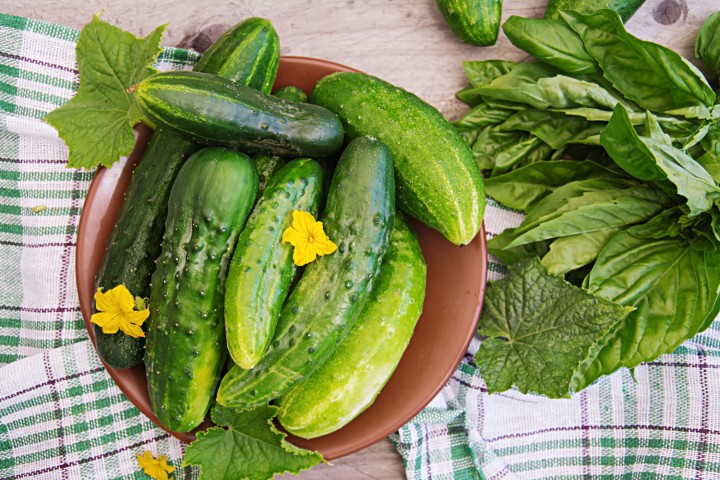 Αγγουρακια Χωραφι - Cucumber Field 500gr