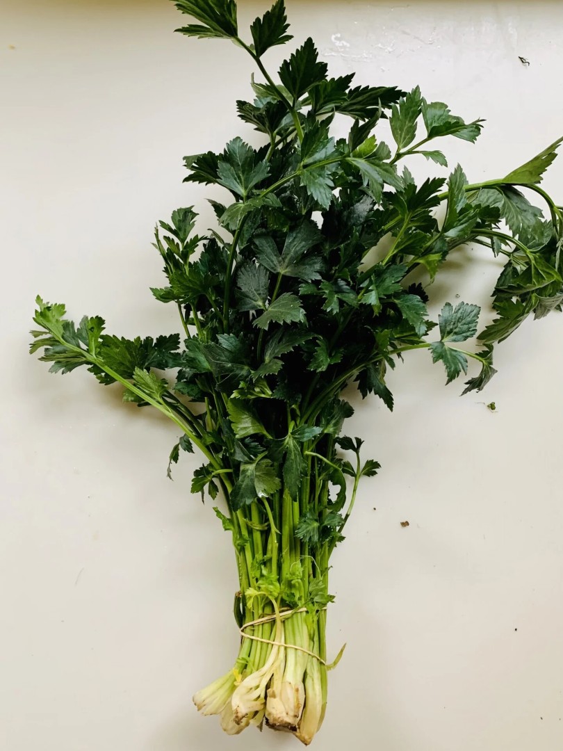 Σελλενο Μικρο - Small Celery 1 bunch