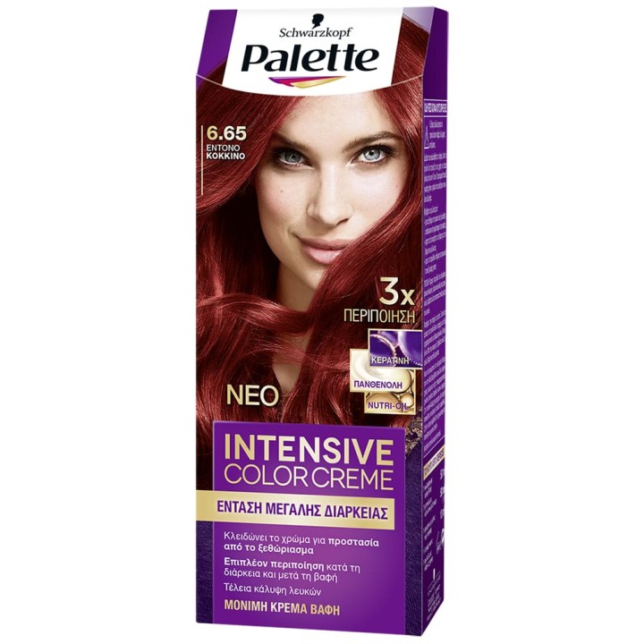 Palette Hair Color Semi Set N6.65 110Ml