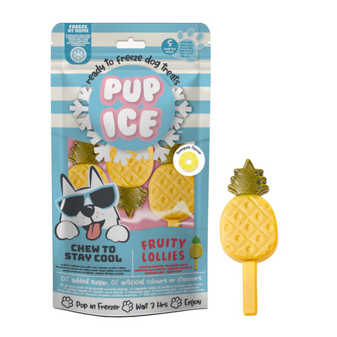 Pup Ice Fruity Lollies Pineapple - 10gr