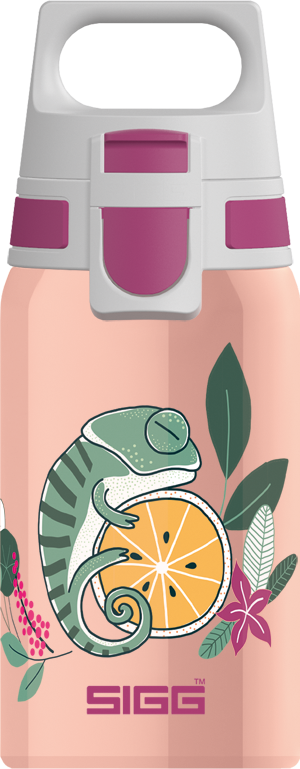 Sigg Kid's Bottle Shield One Flora Design 0.5L