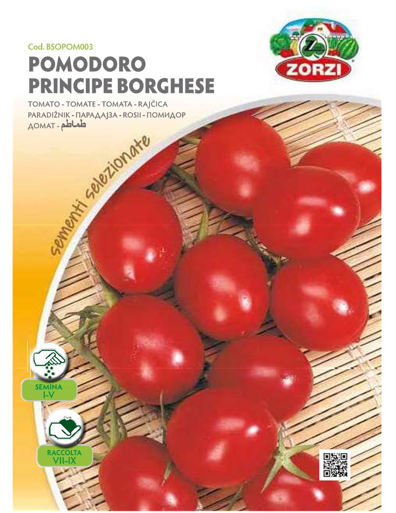 ZORZI BSOPOM003 TOMATINI FOINIKOT