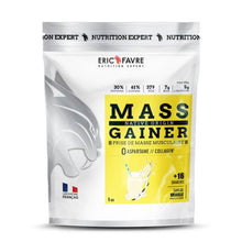 Eric Favre Mass Gainer 1kg Vanilla flavor