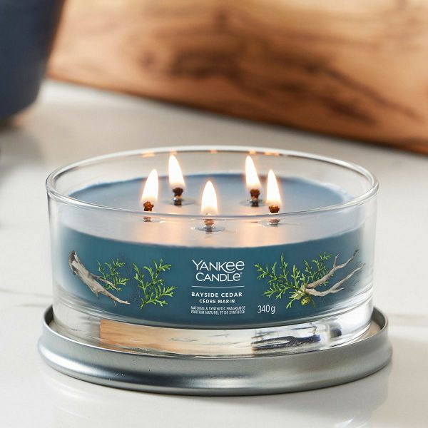Yankee Scented Candle Multi Wick Bayside Cedar 340G