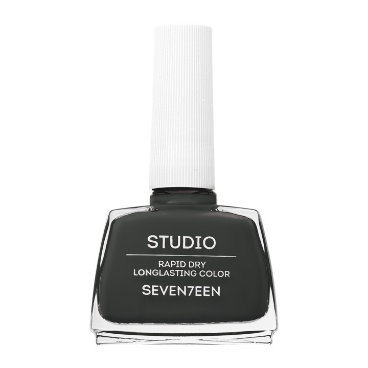 Seventeen Studio Rapid Dry Lasting Color 10