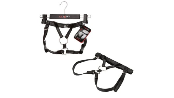 Her Royal Harness - the Dutchess