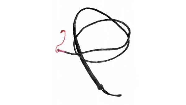 Fetish Fantasy Black 6 feet Whip