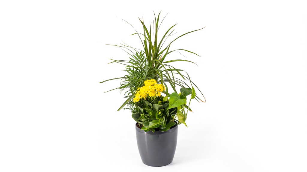 Mixed Plant Composition No1458