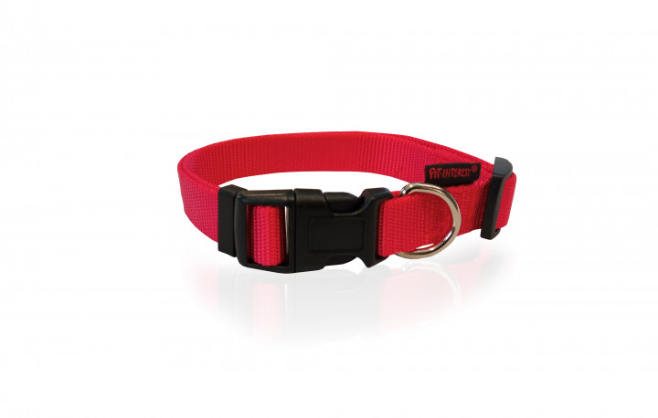 Pet-Intrest Collar RED 19x33cm 10mm Width XS