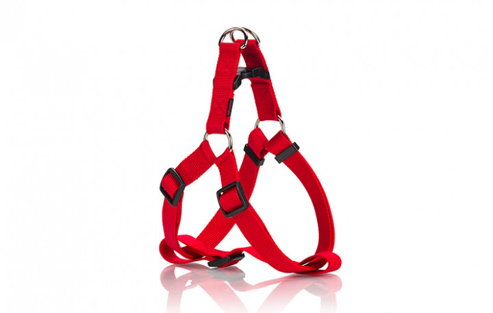 Pet-Intrest Harness RED 40cmx60cm 20mm M