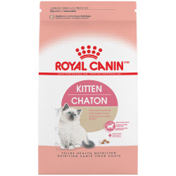 Kitten 4Kg