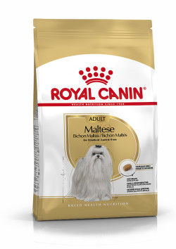 Maltese Adult 1.5Kg