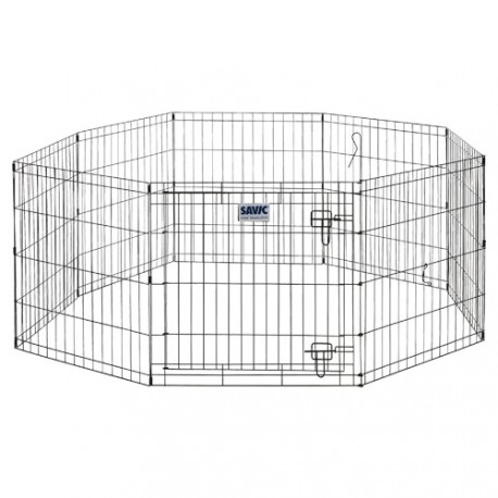 Dog Park NO 1 (61x61cm)