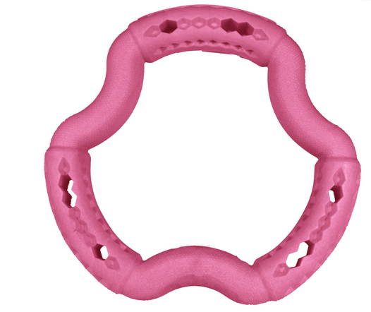 Vadigran Toy Dog Tpr Ring Red Frutti 21Cm