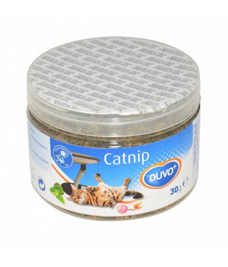 Duvo Catnip - 30gr