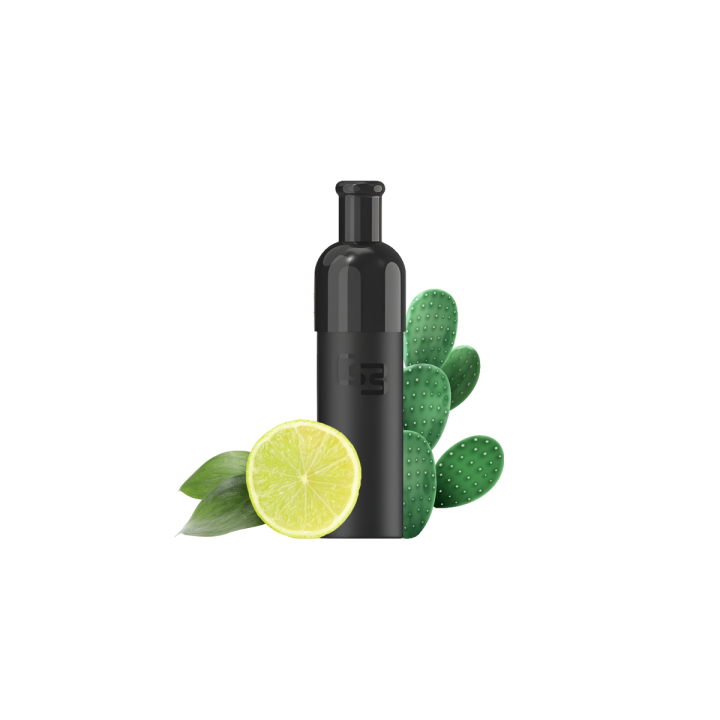 Geekbar J1 Pod P20 Lime Cactus