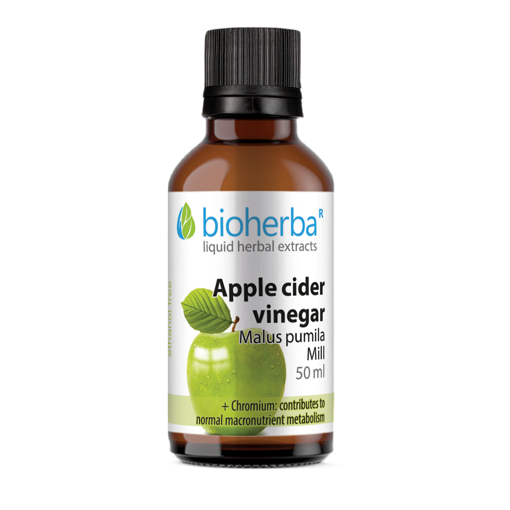 Apple Cider Vinegar Tincture, 50 ml, Bioherba