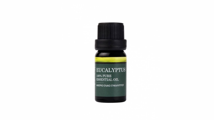 Decosta Essential Oil - Eucalyptus 10ml