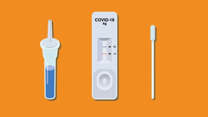 Covid-19 Rapid Test 5pcs Kit