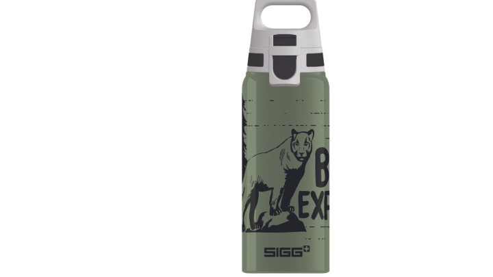 SIGG WMB One Brave Mountainlion 0.6L