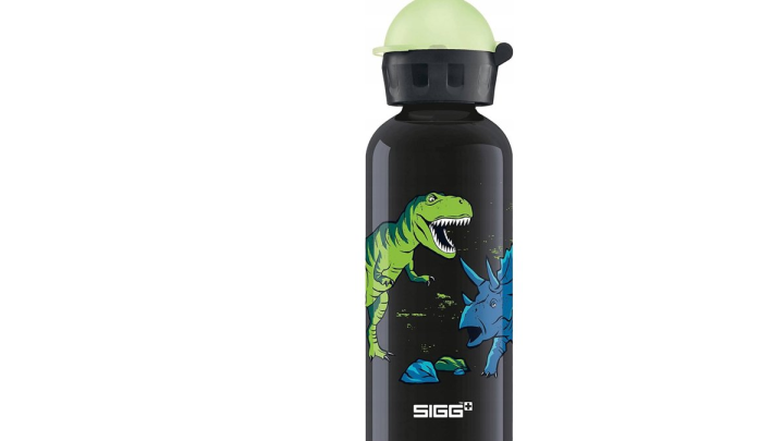 SIGG Dinosaurs 0.4L