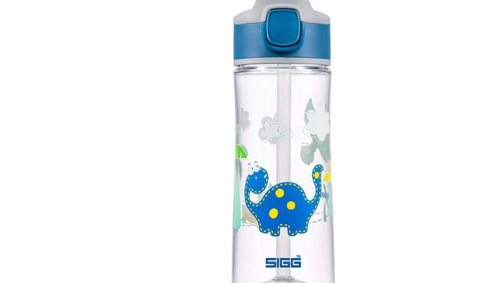 SIGG MK Dinosaur Friend 0.45L