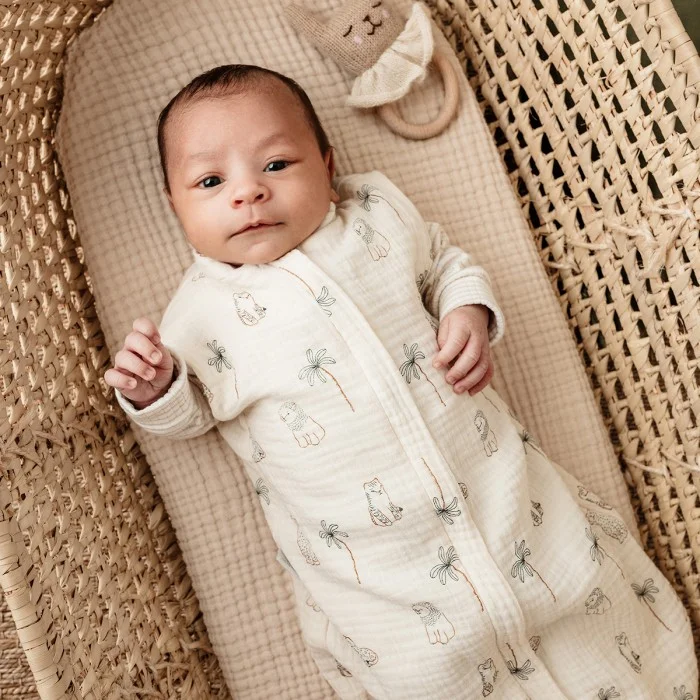 Candide Léo & Maya 2in1 swaddling sleeping bag - 50/65 cm (TOG 1)