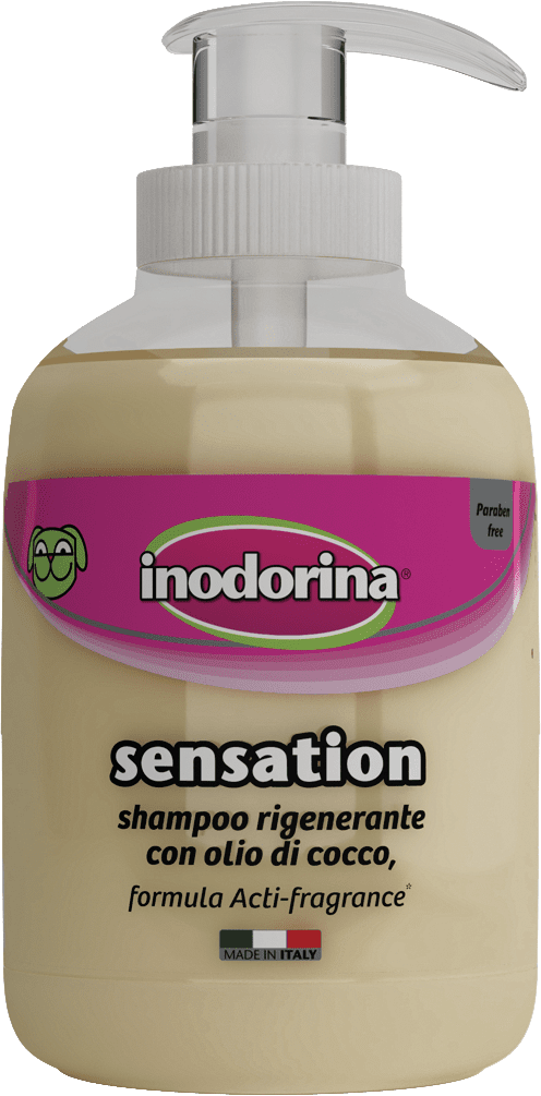 Indorina Sensation Restoring Coco 300ml