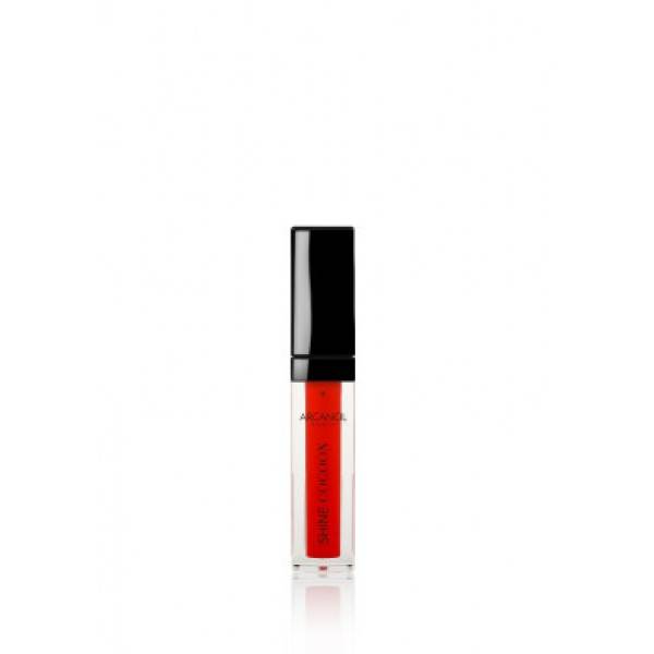 Arcancil Shine Cocoon Lip Gloss No 100 Rouge