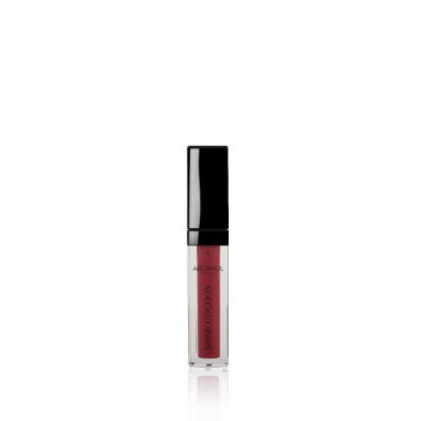 Arcancil Shine Cocoon Lip Gloss No 382 Prune
