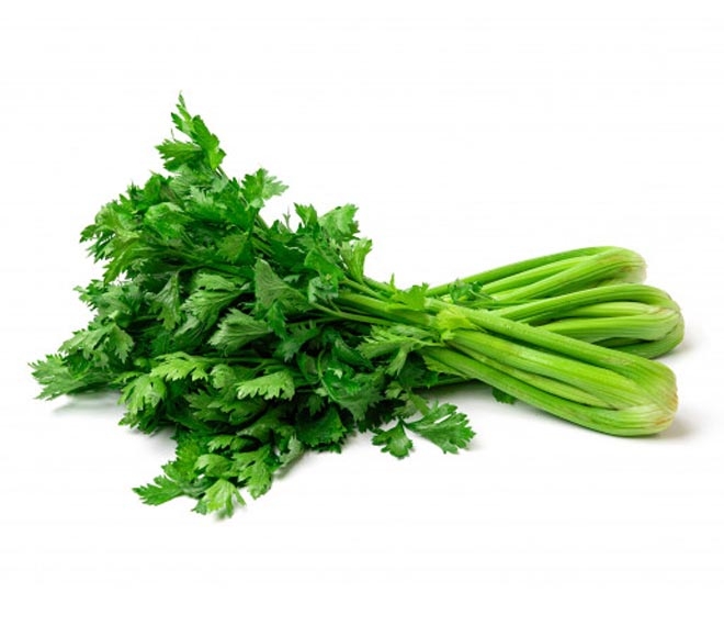 Bunch Of Celery