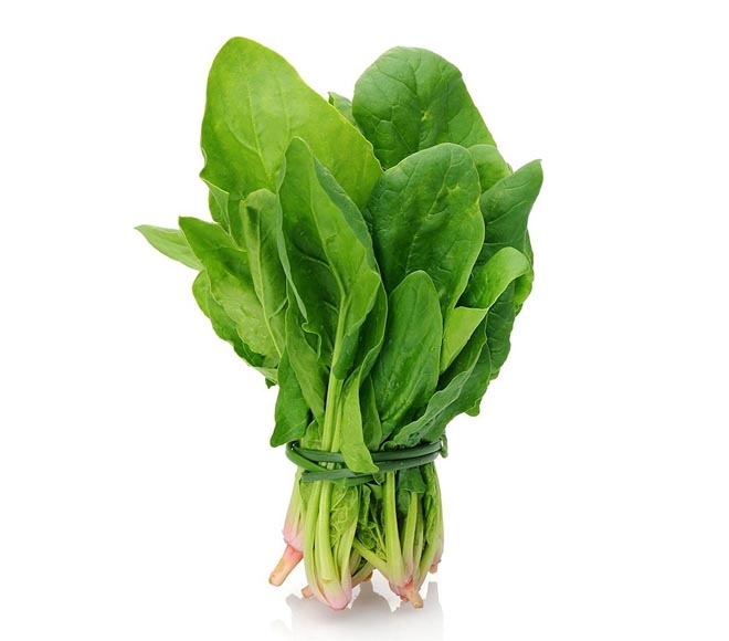 Bunch Of Spinach Leaf