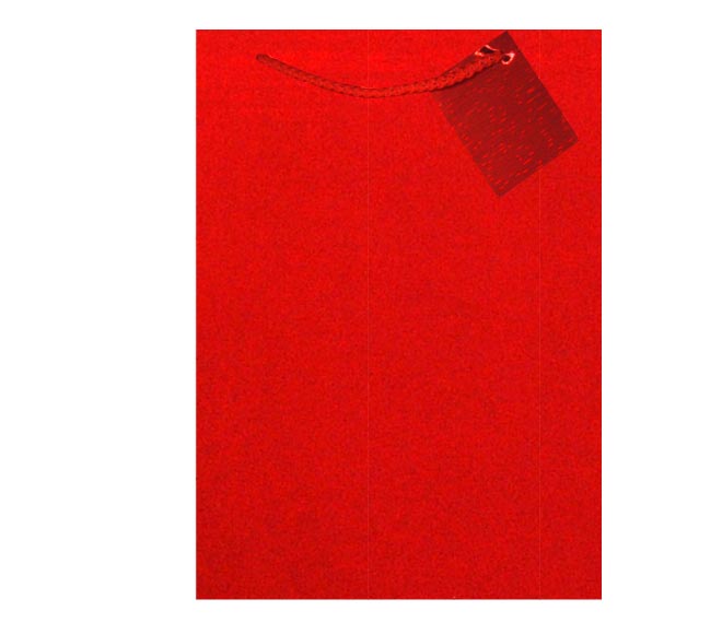 Gift Bag - Extra Large (Hgxg) - Red