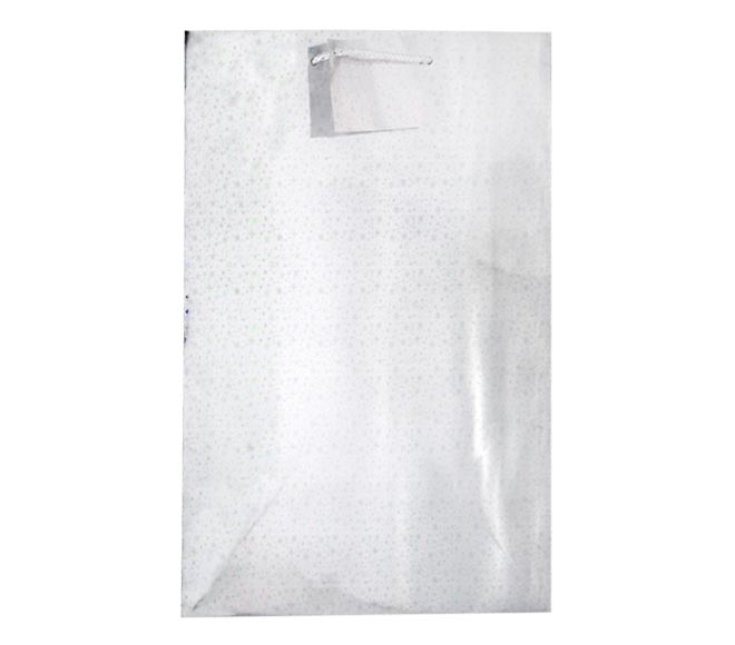 Gift Bag Large Silver