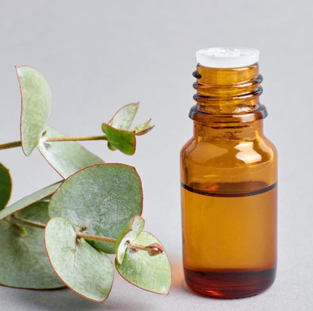 Eucalyptous Essential Oil 30ml