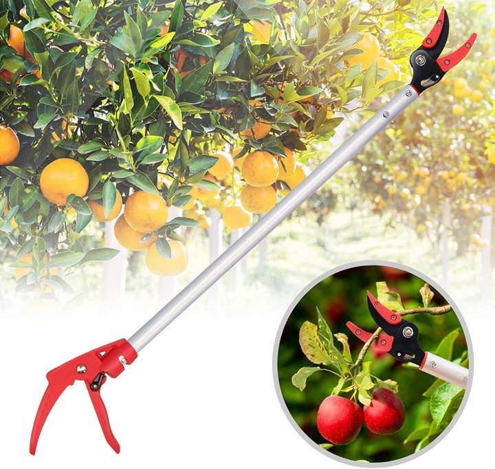 Τηλεσκοπικός Καρποσυλλέκτης 5 Σε 1 Ιδανικός Για Να Κόβετε Καρπούς Και Φρούτα Και Κλαδιά Χωρίς Να Σκαρφαλώνετε Σε Σκάλα
