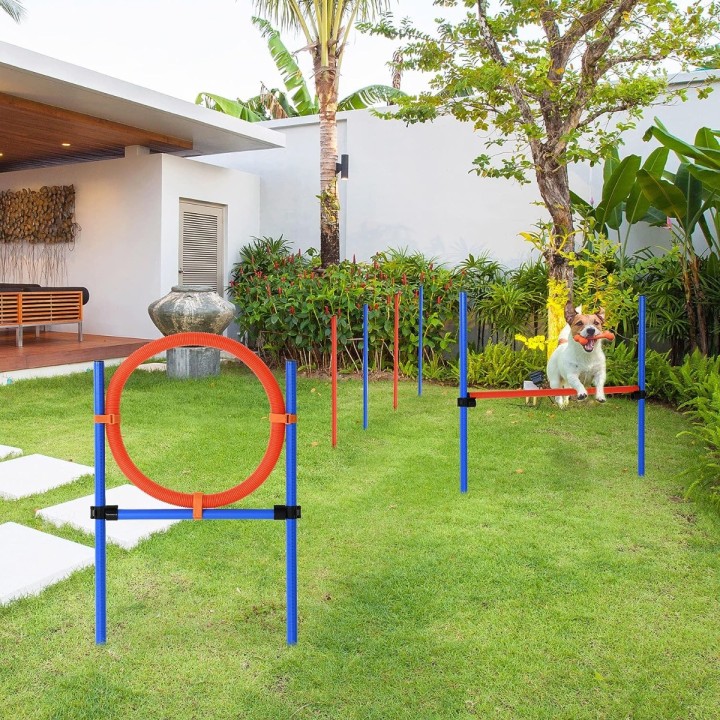 Εκπαιδευτικό Σετ Σκύλου 12 Τμχ Pawhut D07-002