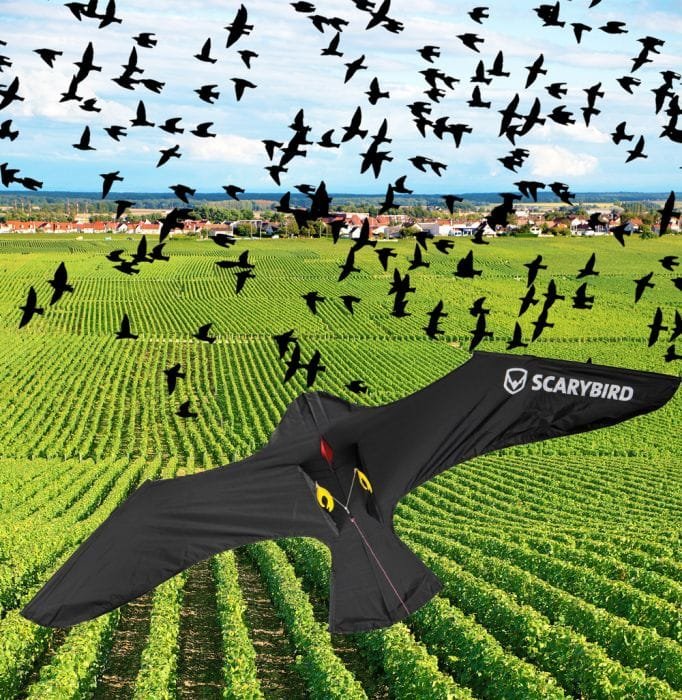 Ιπτάμενος Απωθητικός Αετός για Πουλιά Scarybird Kite Complete Set
