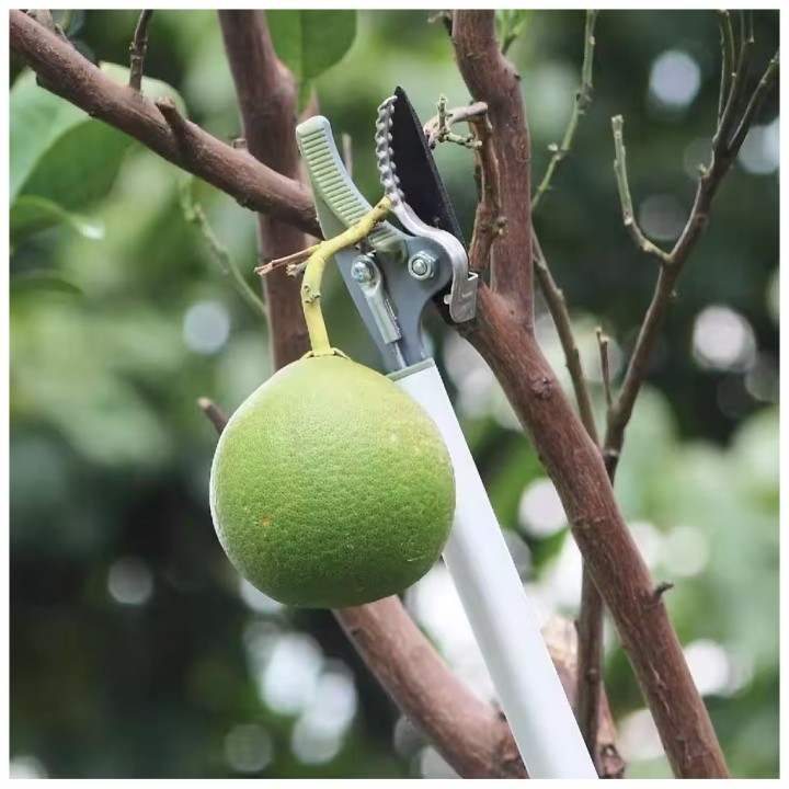 Κονταροψάλιδο Τηλεσκοπικό 5 σε 1 Kaokey Garden Long Reach Pruner Ιδανικό για να Κόβετε Ψηλά Κλαδιά Χωρίς να Σκαρφαλώνετε σε Σκάλα
