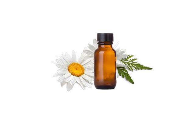 Chamomile Roman Es 1pc